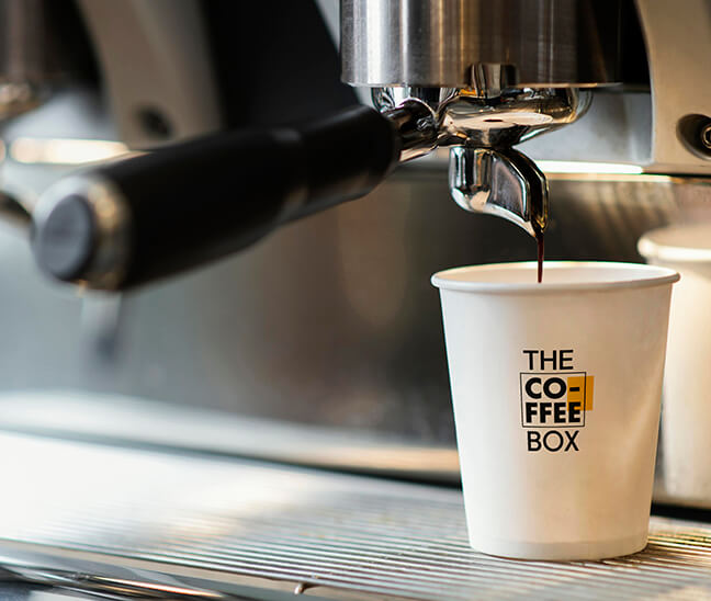 Brand Identity | Website | Vehicle Graphics | Packaging